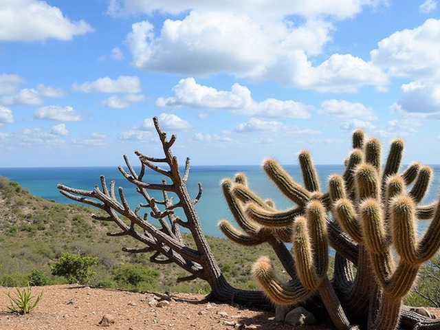 Comemoração do Dia do Nordestino com Campanha 'Um Xêro, Só no Nordeste'