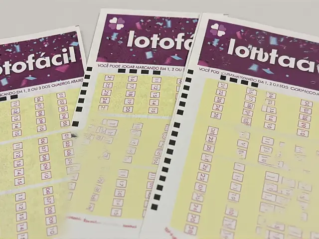 Lotofácil 3699: prêmio acumula e próximo sorteio terá R$ 7,5 mi